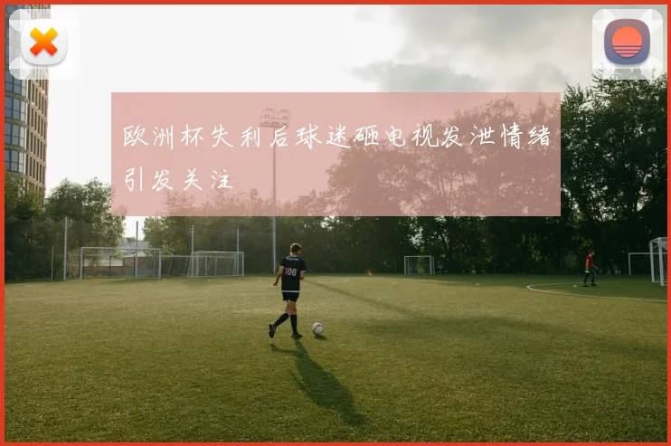 欧洲杯失利后球迷砸电视发泄情绪引发关注
