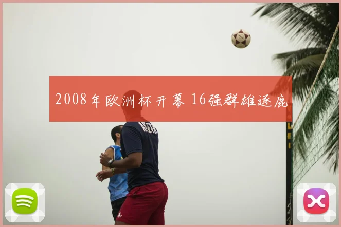 2008年欧洲杯开幕 16强群雄逐鹿