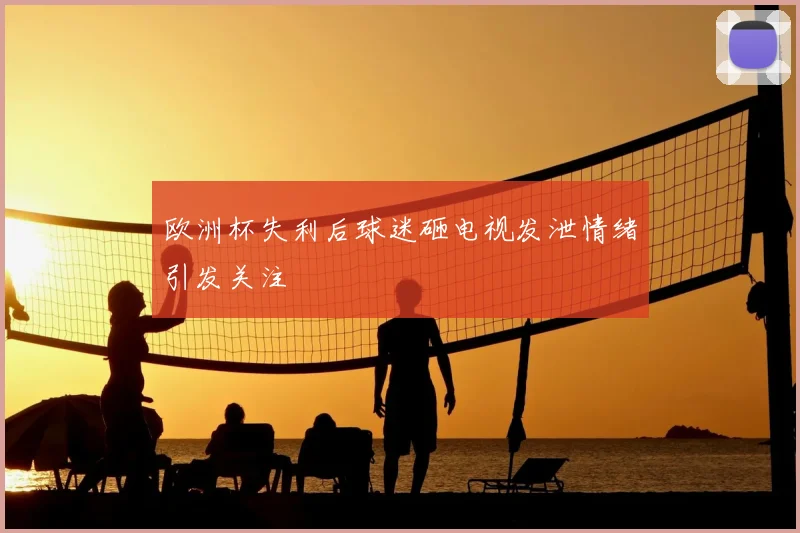 欧洲杯失利后球迷砸电视发泄情绪引发关注