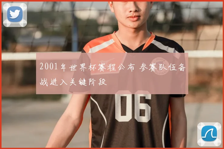 2001年世界杯赛程公布 参赛队伍备战进入关键阶段
