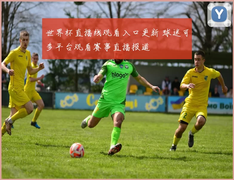 世界杯直播线观看入口更新 球迷可多平台观看赛事直播报道