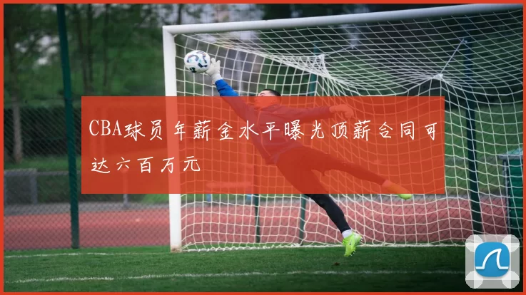 CBA球员年薪金水平曝光顶薪合同可达六百万元