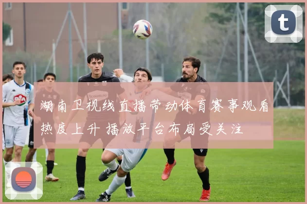 湖南卫视线直播带动体育赛事观看热度上升 播放平台布局受关注