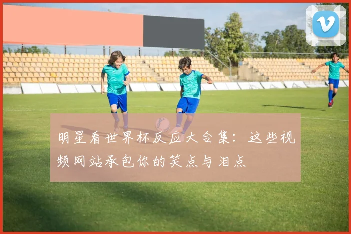 明星看世界杯反应大合集：这些视频网站承包你的笑点与泪点