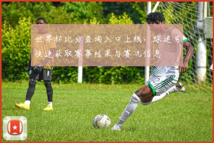世界杯比分查询入口上线,球迷可快速获取赛事结果与赛况信息