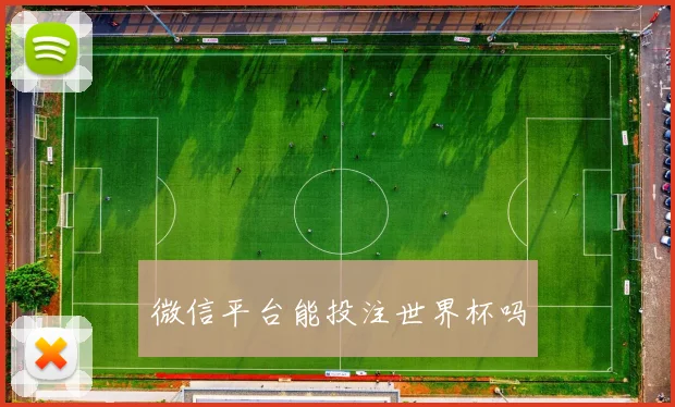 微信平台能投注世界杯吗