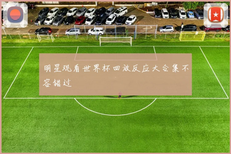 明星观看世界杯回放反应大合集不容错过